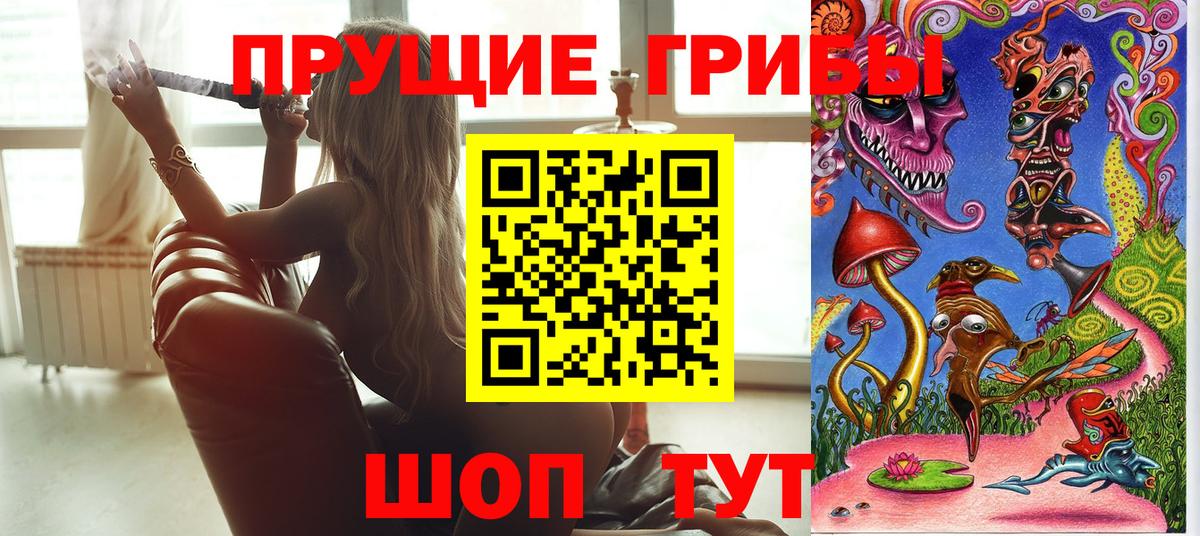 Галлюциногенные грибы MAGIC MUSHROOMS Дятьково