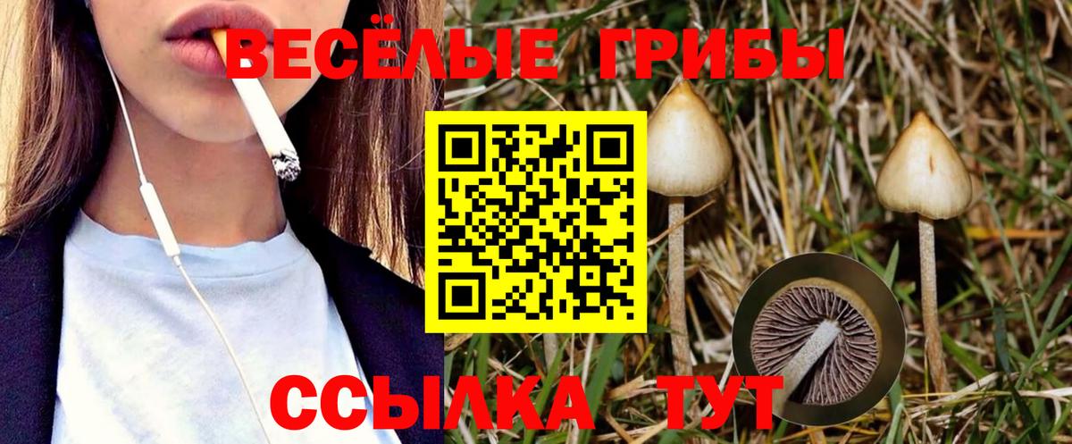 Галлюциногенные грибы ЛСД  закладка  Дятьково  Вход с VPN 